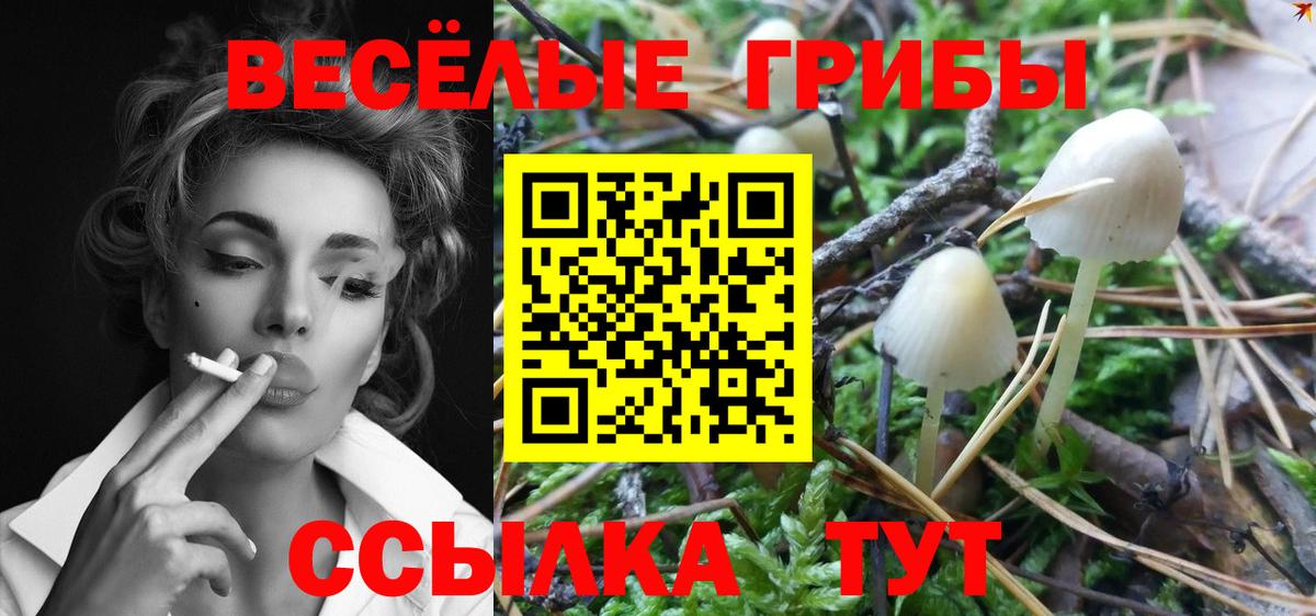 Псилоцибиновые грибы Magic Shrooms Кирово-Чепецк