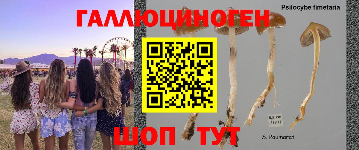 Кирово-Чепецк  Псилоцибиновые грибы прущие грибы  Галлюциногенные грибы Psilocybe  Вход с VPN 
